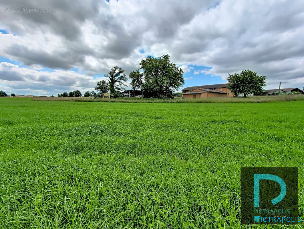 TERRAIN attenant de 8330 m² - Maison à SAINT-CYR-SUR-MENTHON
