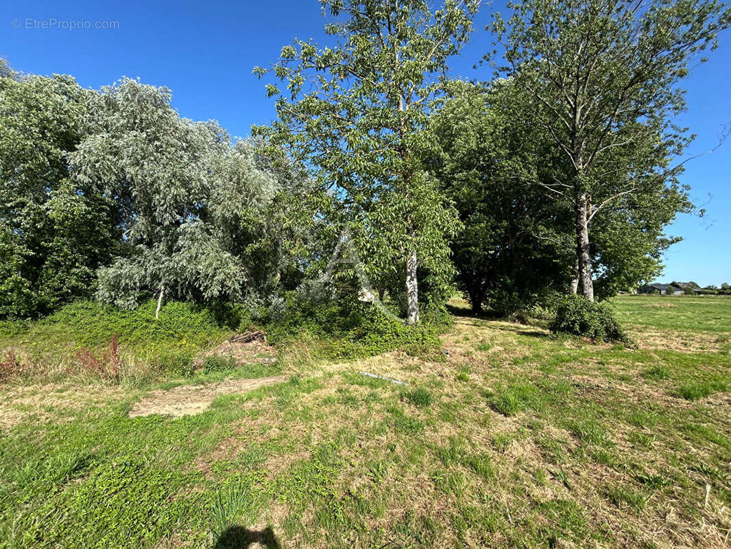 Terrain Constructible  non viabilisé avec étang Prée D'Anjou 6772 m² - photo 5