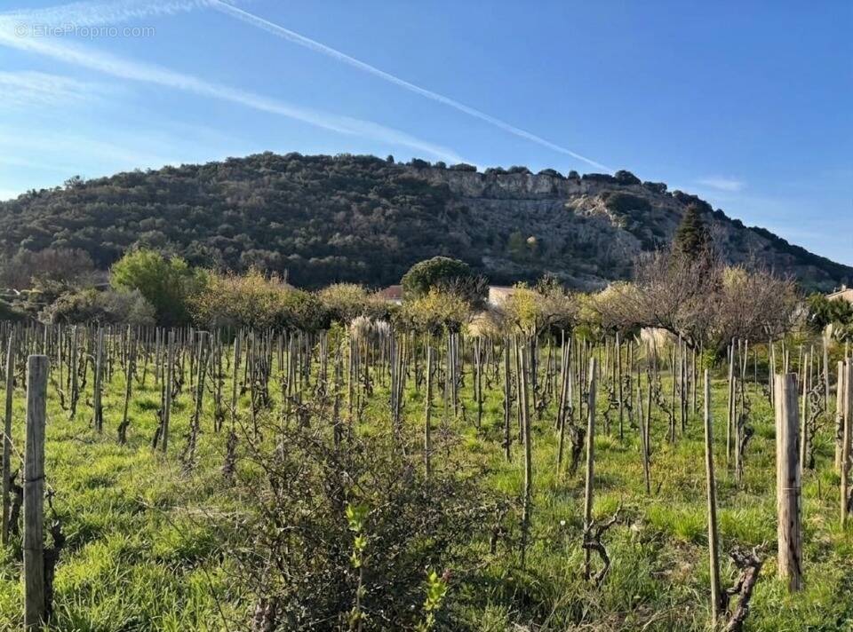 Photo Terrain à Cornas au prix de 109 000€
