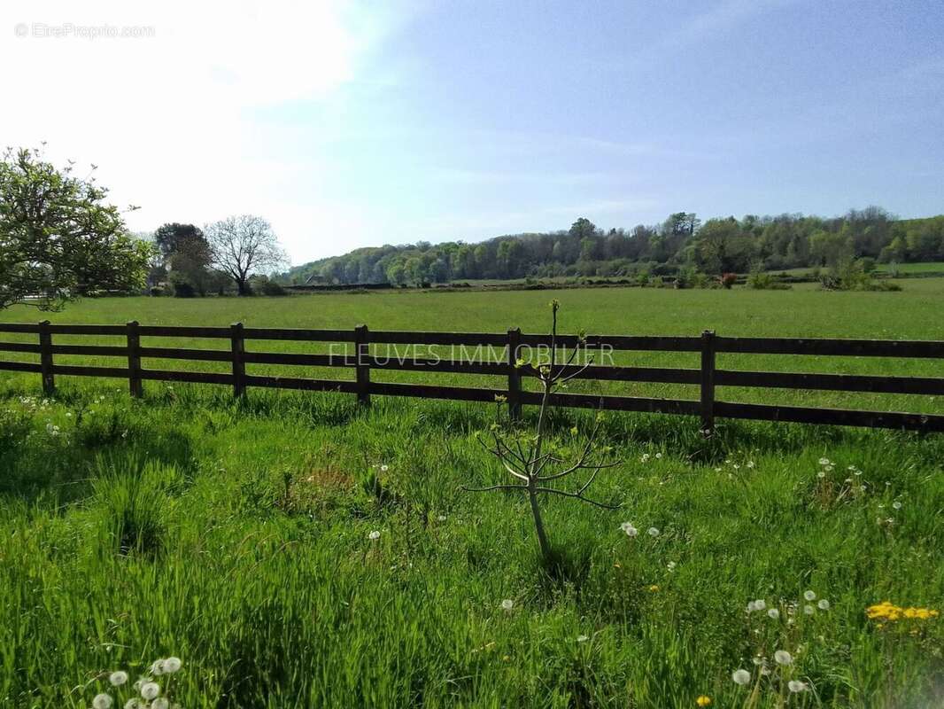 Terrain à NAVARRENX