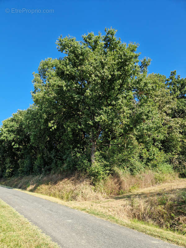 Maison à SAINT-EUTROPE-DE-BORN