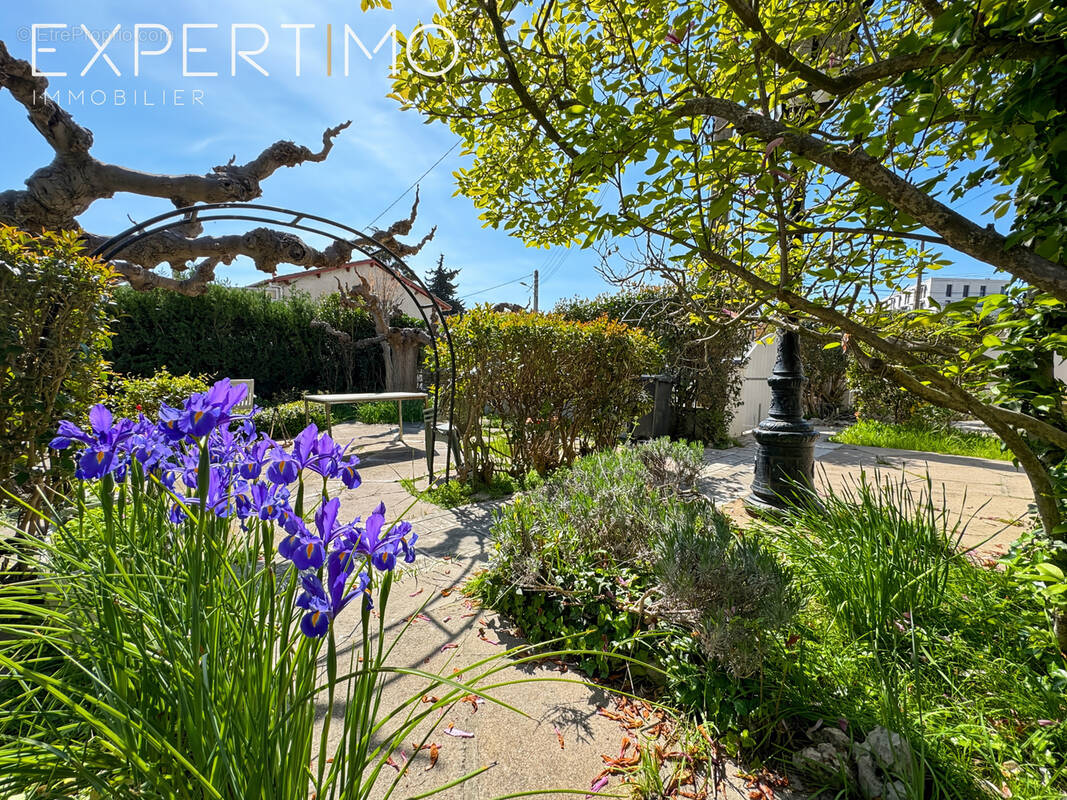 Maison à MONTPELLIER