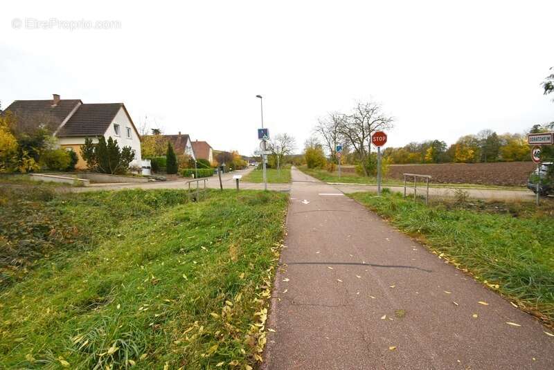 Terrain à MARLENHEIM