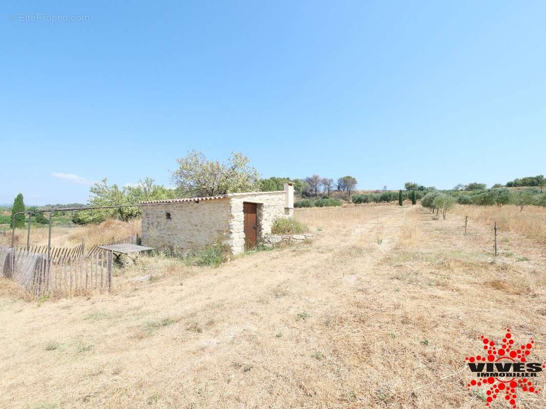 Exceptionnel : Truffière en production sur 2,2 hectares aux portes de Béziers - photo 2