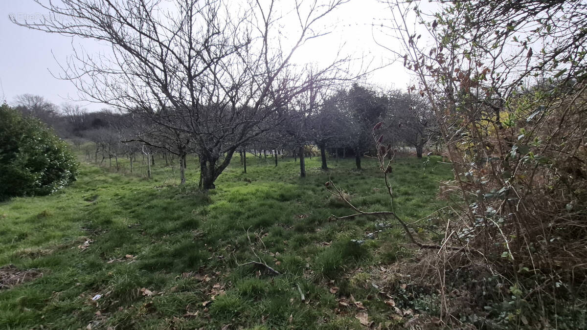 Terrain à BONNAC-LA-COTE
