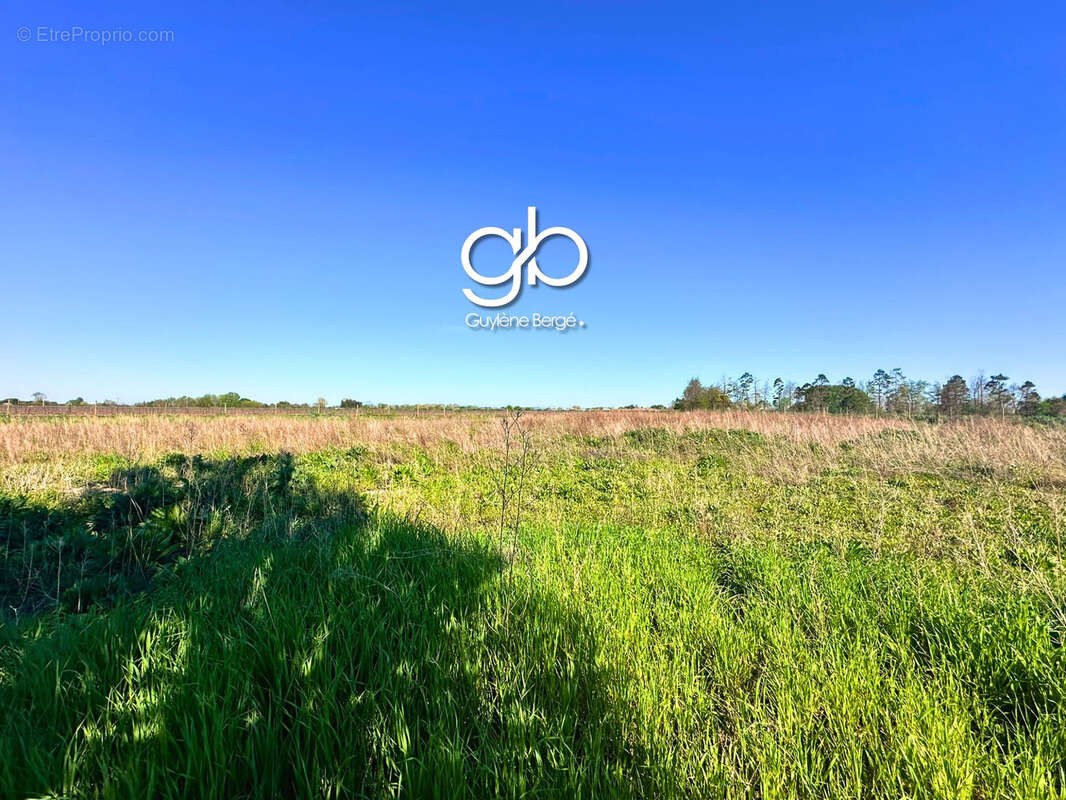 Maison à LANSARGUES