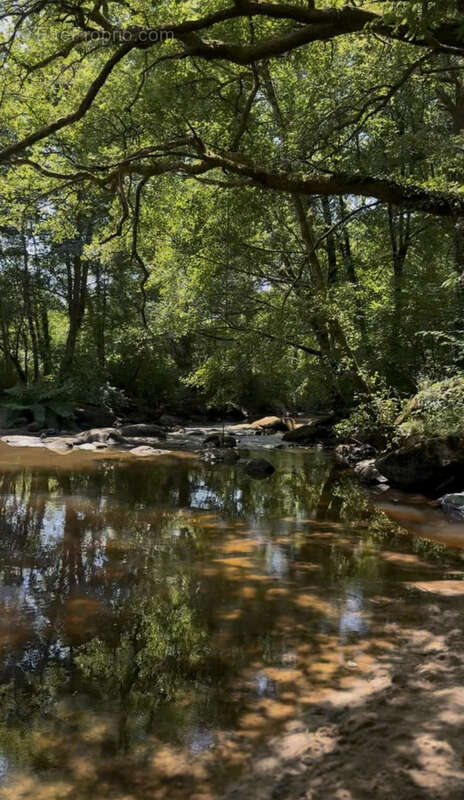 Propriété de 242m2 à Saint-Junien et 14 hectares - photo 4