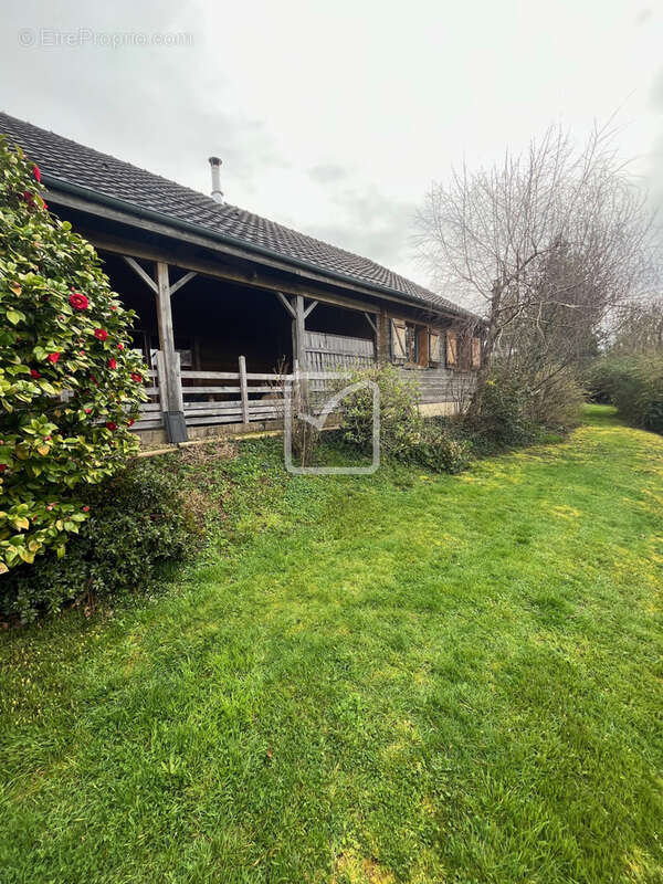 Maison Bois - 5 pièces - JUILLAC - photo 4