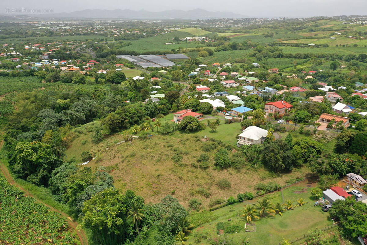 Terrain à LE LAMENTIN