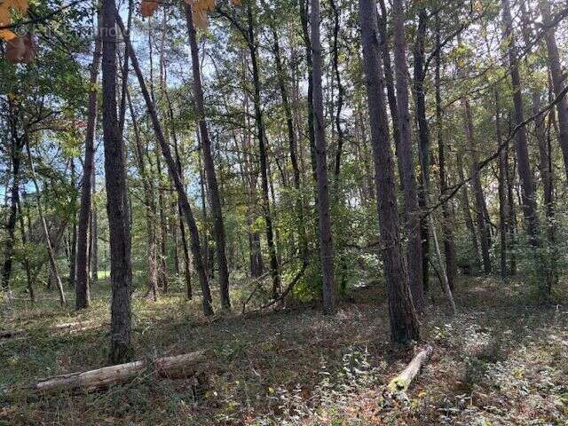 Terrain à VILLEFRANCHE-SUR-CHER