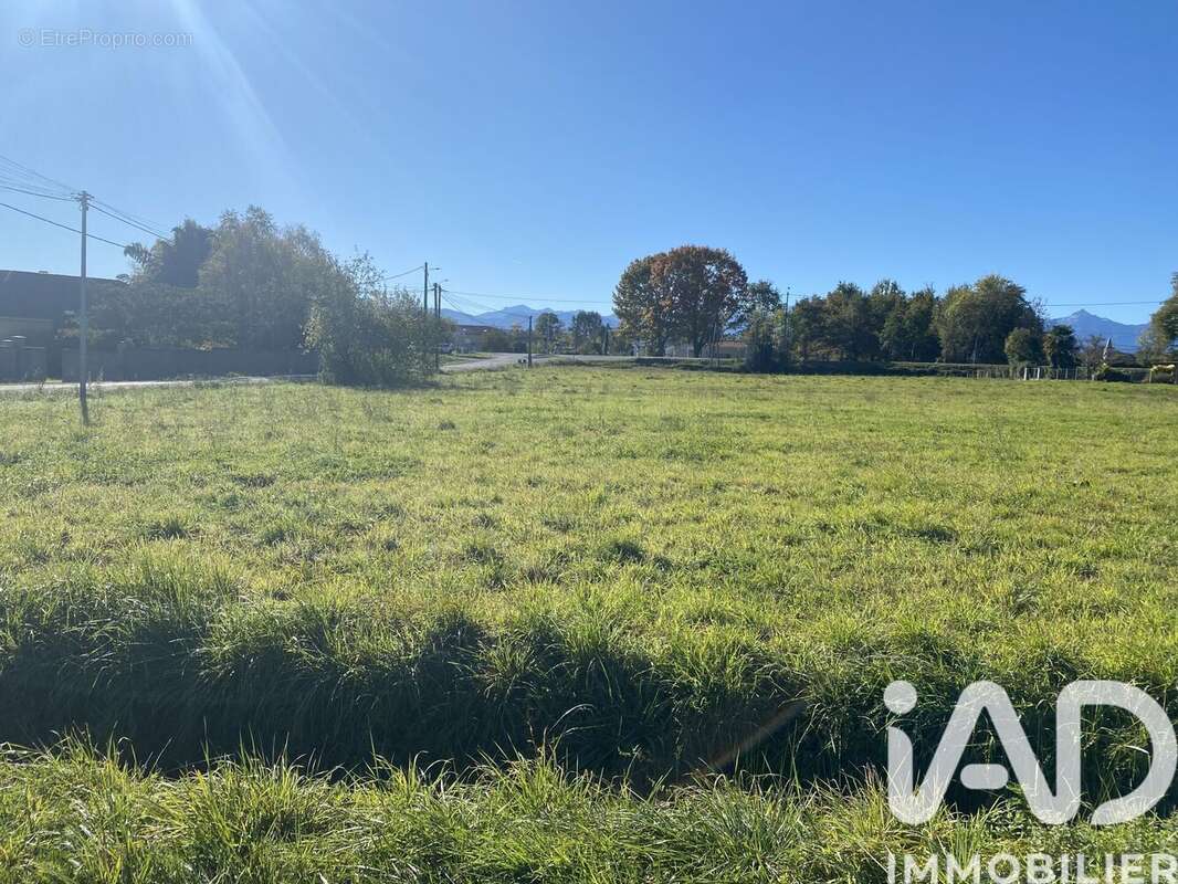 Photo 2 - Terrain à MASCARAS