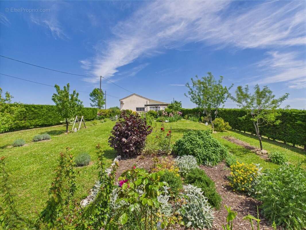 Maison à MONFLANQUIN