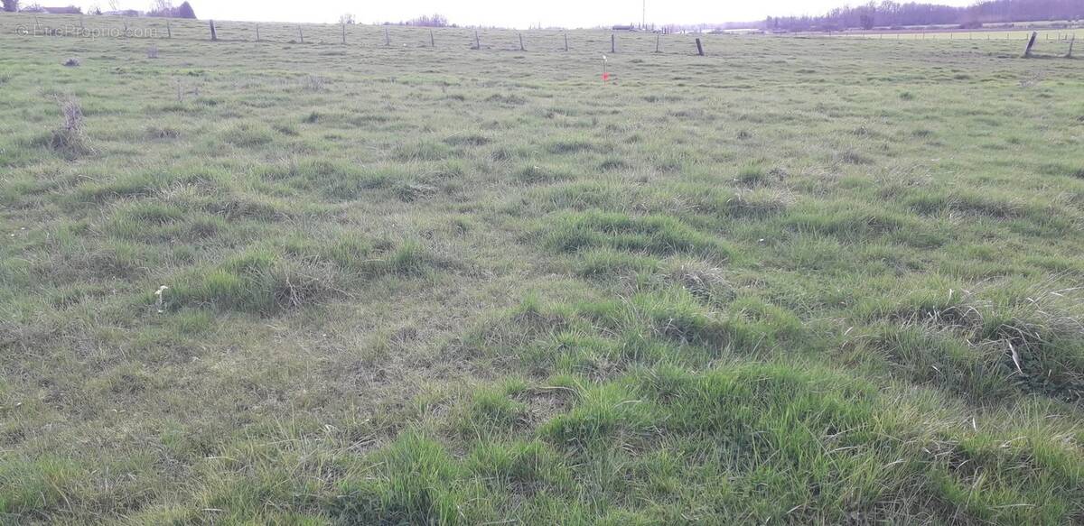 Terrain à VILLERS-LE-SEC