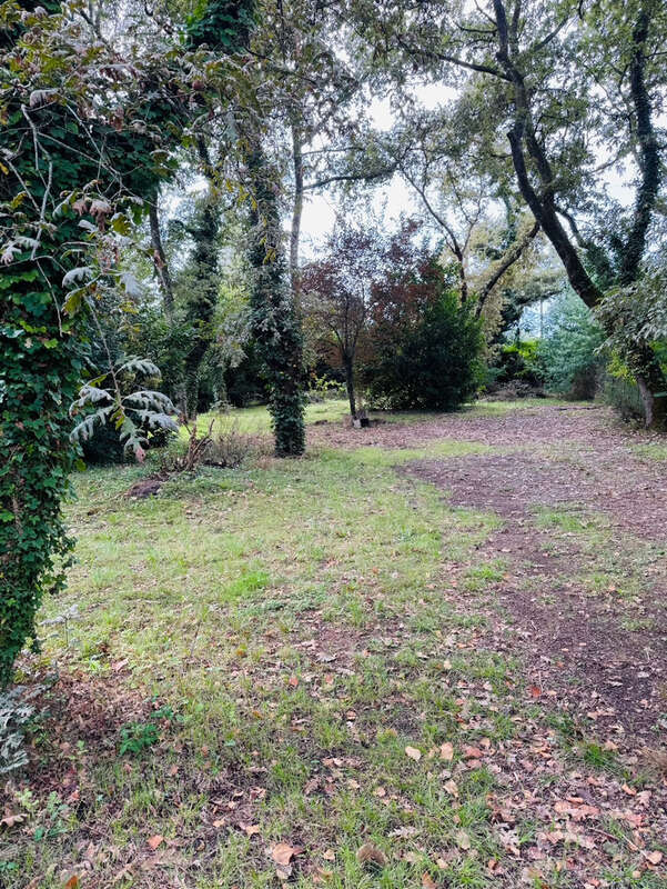 Mont-de-Marsan   Terrain constructible de 997 m2 - photo 2