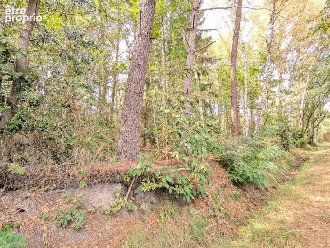 Terrain à vendre de 2 187,00 m² MEZERAY (72) - photo 7