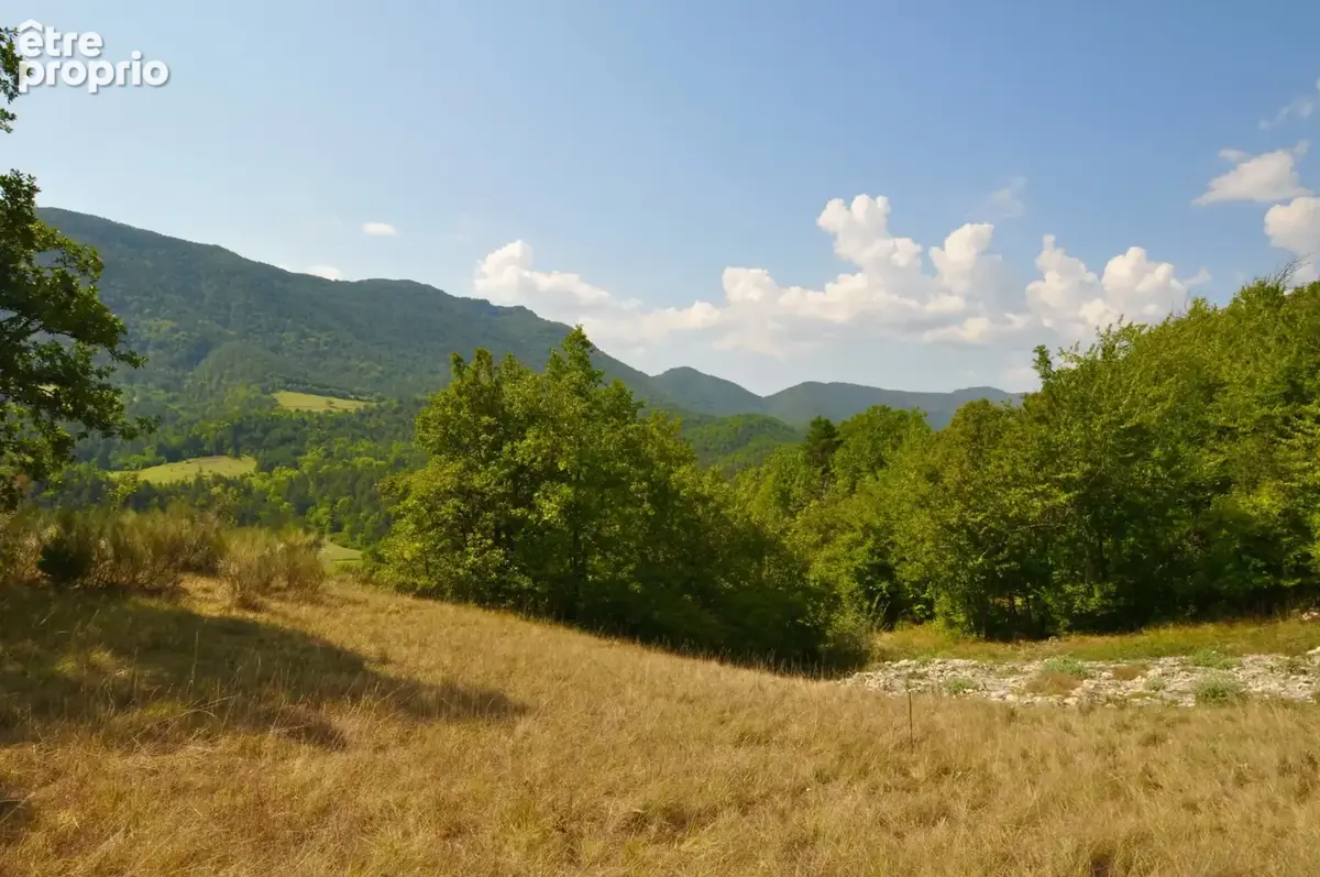 Dpt Alpes de Haute Provence (04), à vendre Proche ENTREVAUX Superbe terrain de plus d'un hectare avec vue montagnes - photo 3