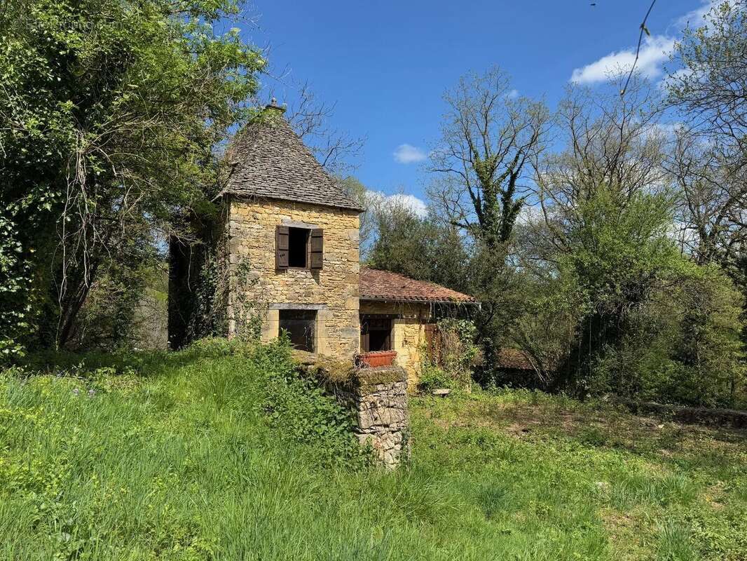 IMG2125 - Maison à BEYNAC-ET-CAZENAC