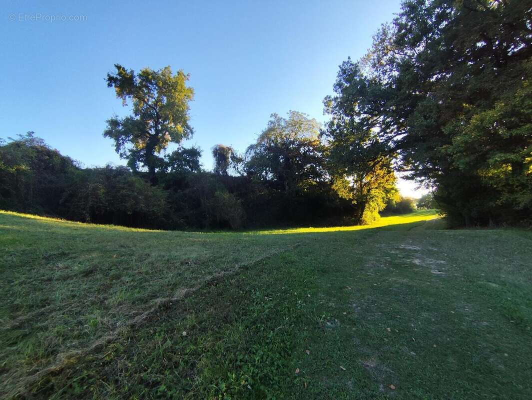 Photo 8 - Terrain à VALENCE