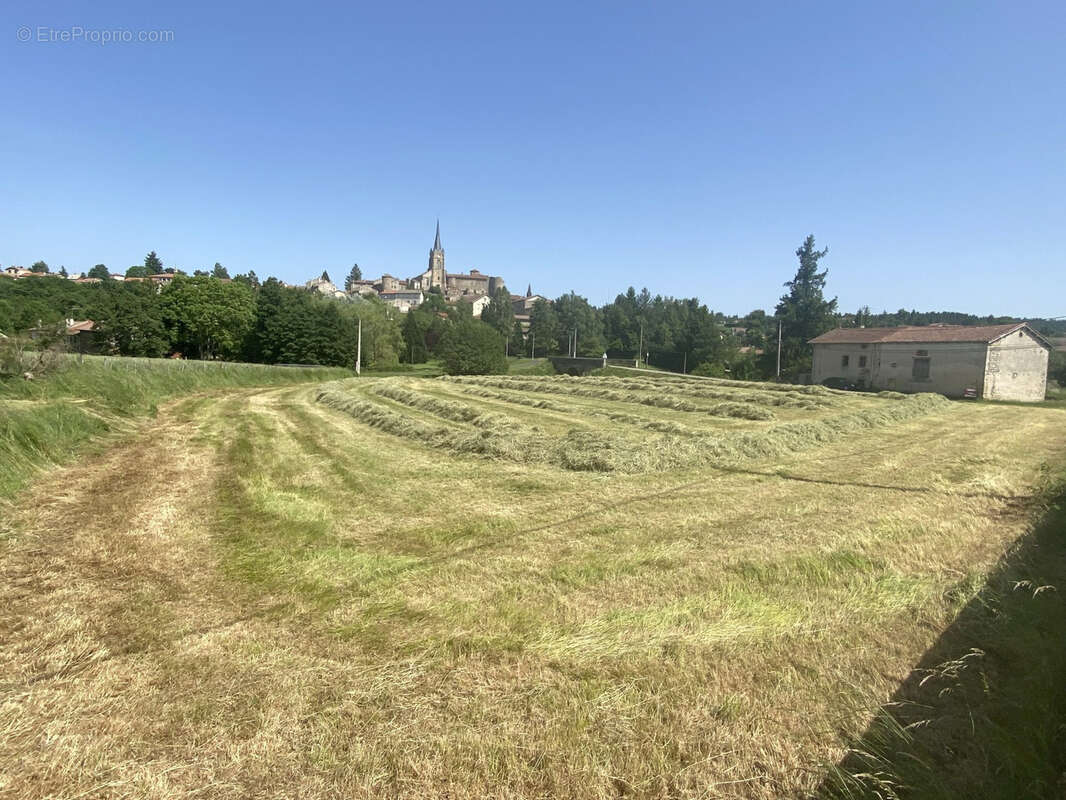 Terrain à SAINT-PAL-DE-CHALENCON
