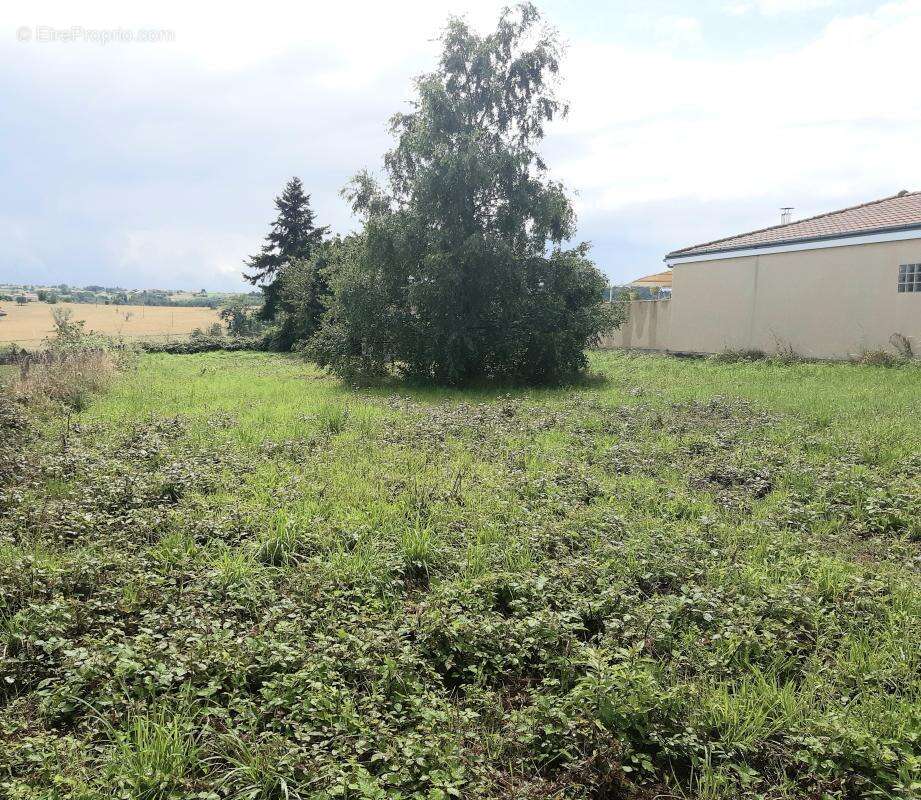 Terrain 1355 m² à Bongheat  - photo 4