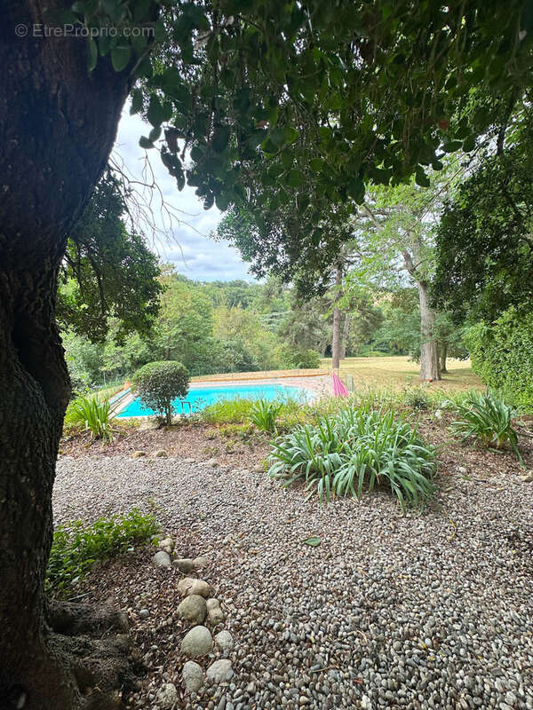 CHATEAU de famille du 17e siècle en très bon état à vendre à GIBEL - photo 19