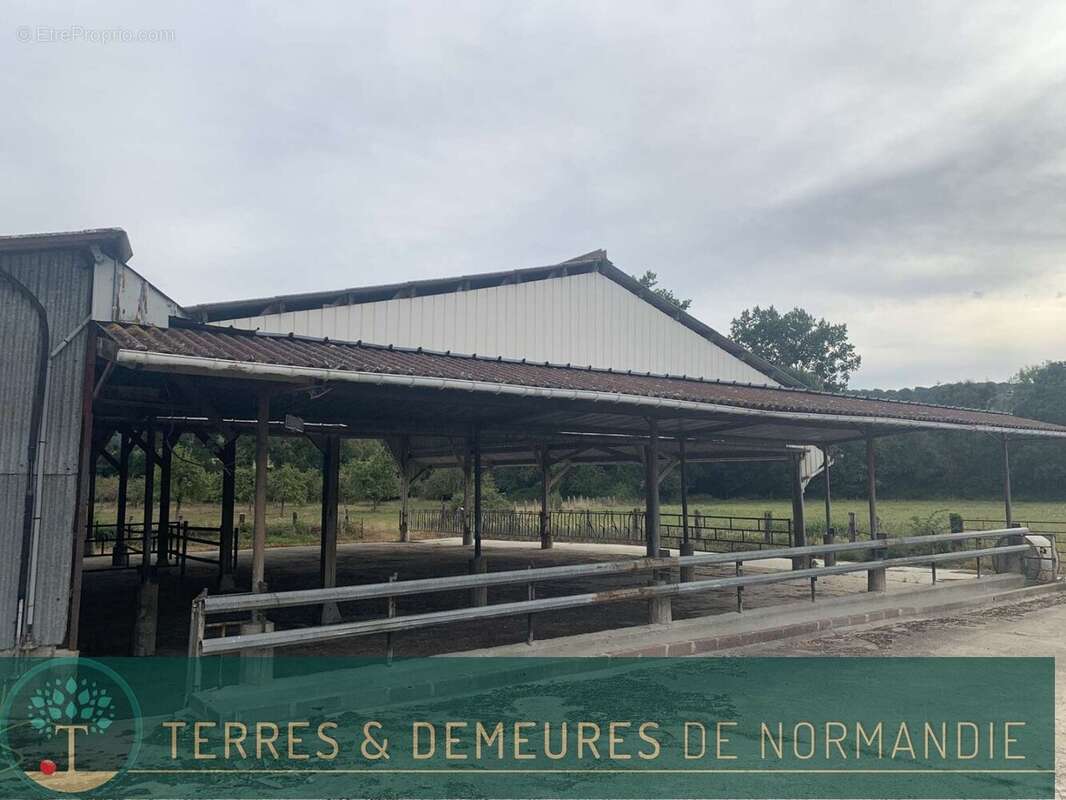 Maison à SAINT-PIERRE-SUR-DIVES