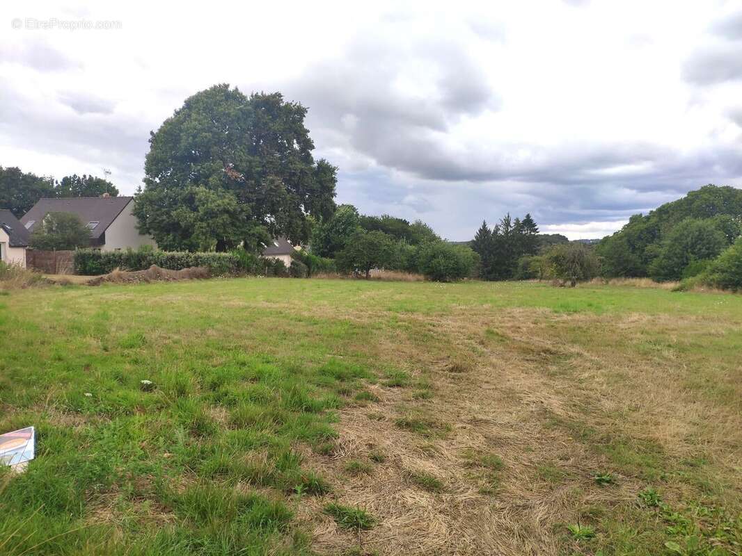 Terrain à bâtir de 564 m² à POLIGNE (35) - photo 2