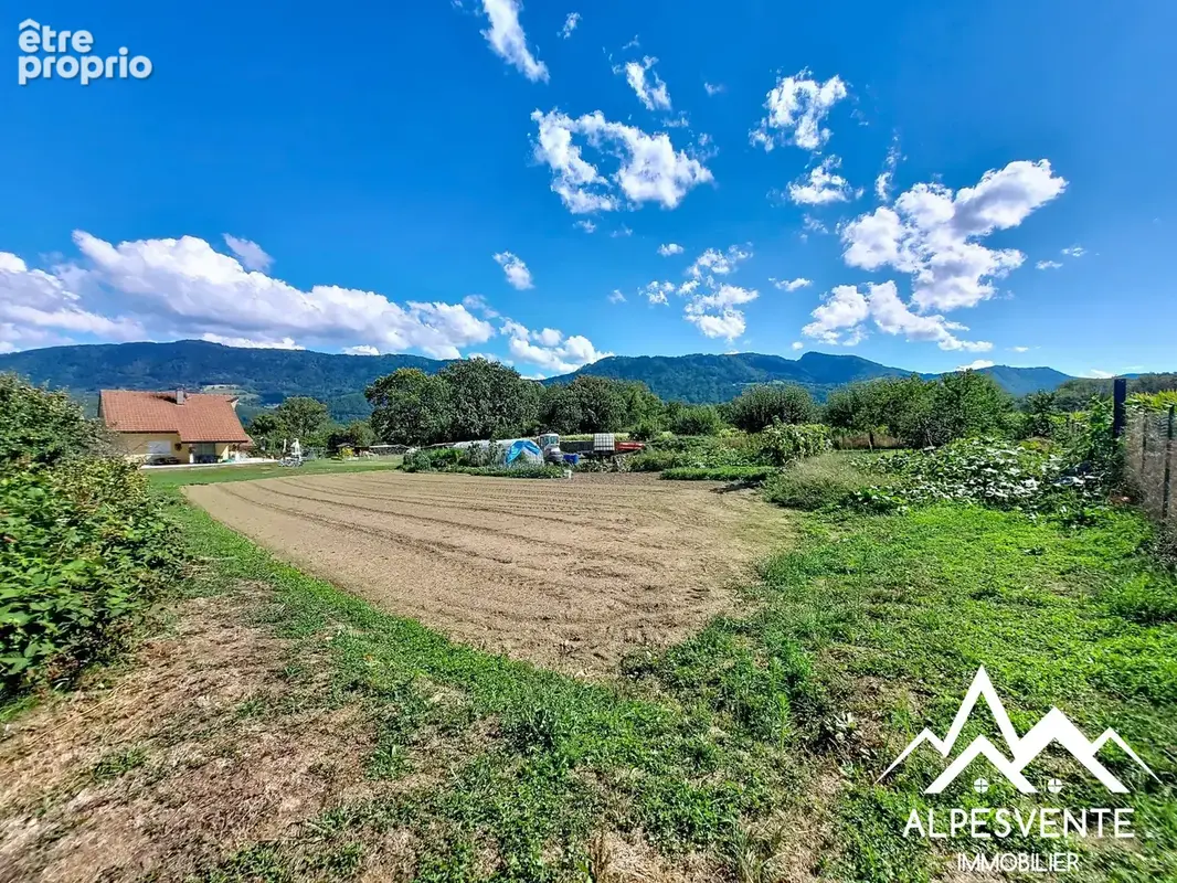 vente-terrain-lot1-allinges-alpesvente