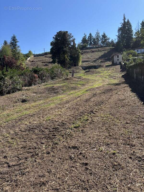 Terrain à AUREC-SUR-LOIRE