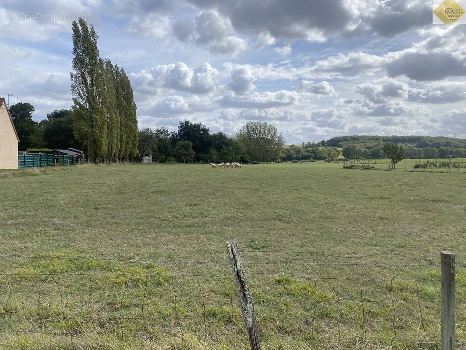 Terrain à COUSSAY-LES-BOIS
