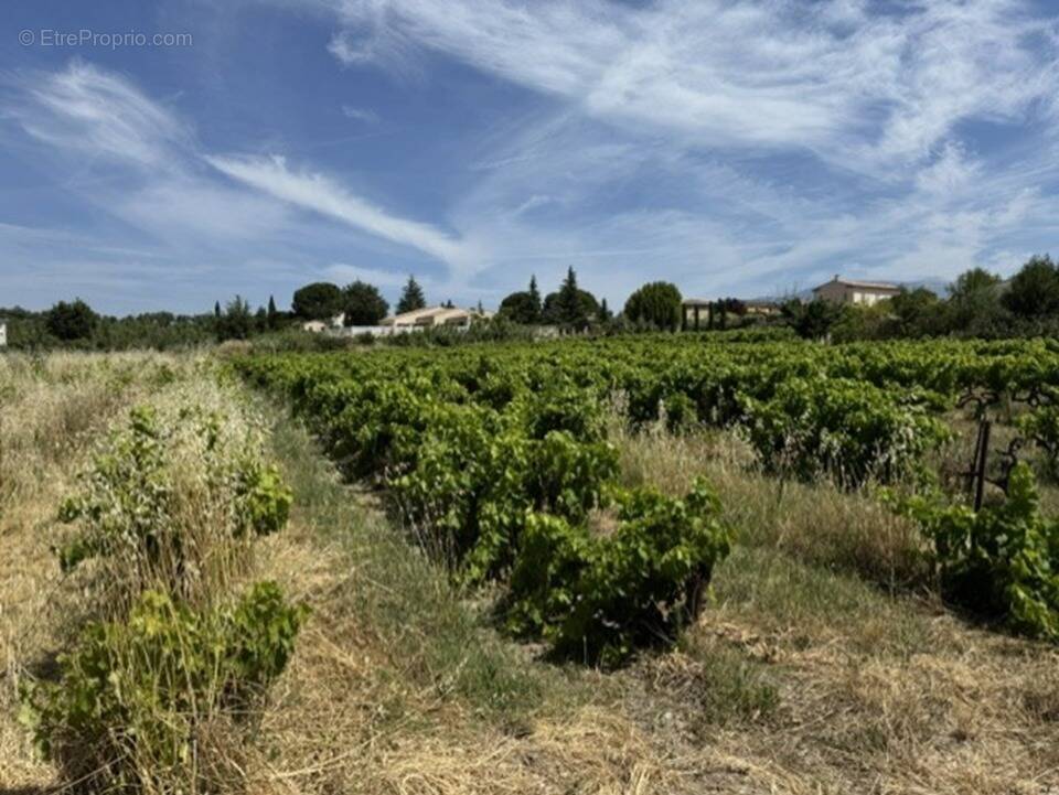 Terrain à MAZAN
