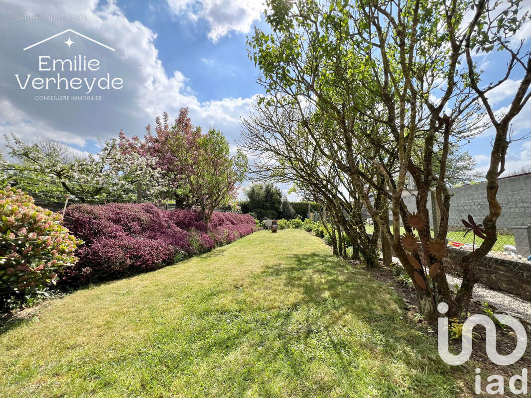 Photo 9 - Maison à CASSEL