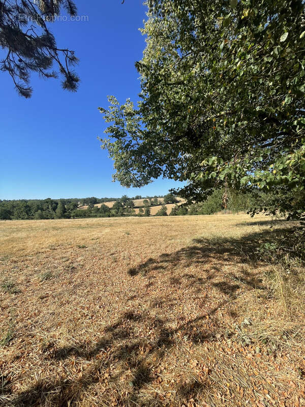 Corps de ferme avec dépendances et terrains agricoles situé sur la commune de Onet le Château - photo 2