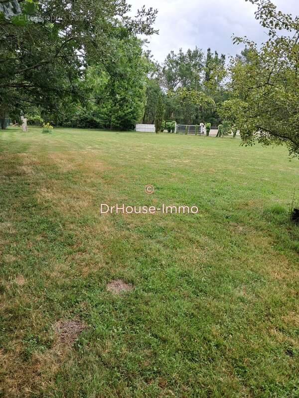 Terrain à BISCARROSSE