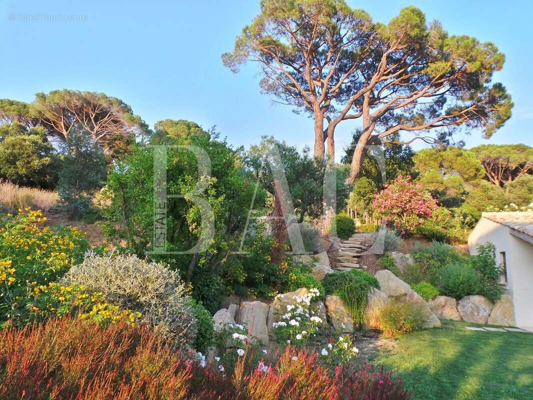 Maison à RAMATUELLE