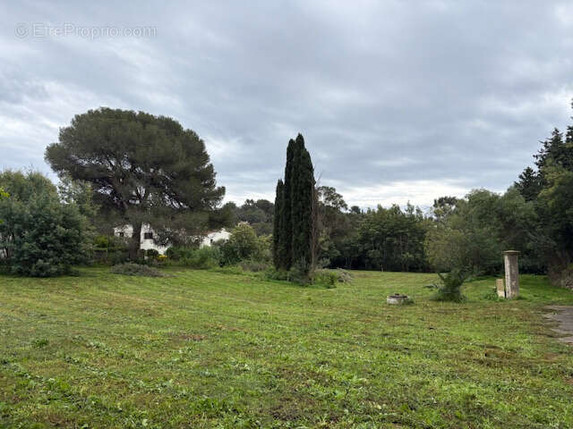Terrain à LA CROIX-VALMER