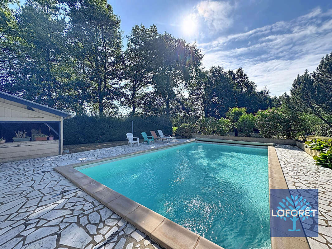 Maison Aubigny  plain pied  4 chambres avec piscine - photo 13