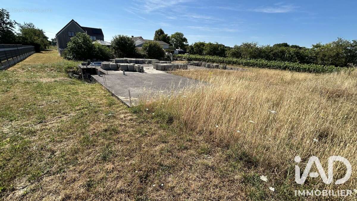 Terrain 2382 m² à Villeperdue  - photo 4