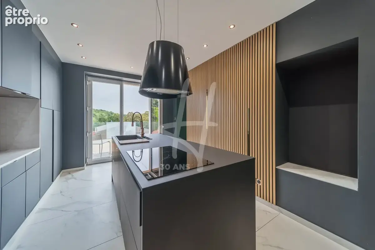 Maison 300 m² à Hussigny-Godbrange  - photo 3