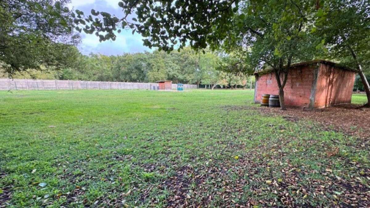 Photo 4 - Terrain à LA TESTE-DE-BUCH