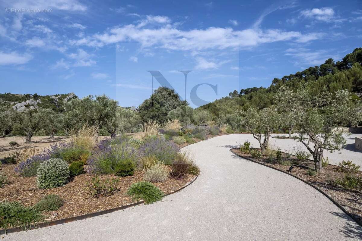Maussane-les-alpilles / propriété de maître - photo 6