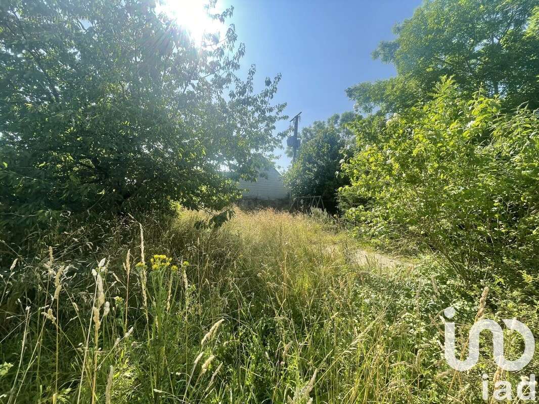 Photo 2 - Maison à CHEVILLY