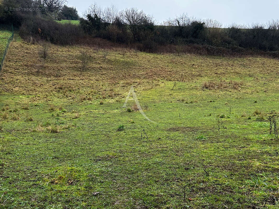 Terrain à THIEMBRONNE