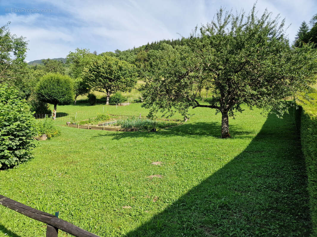 Terrain à THONES