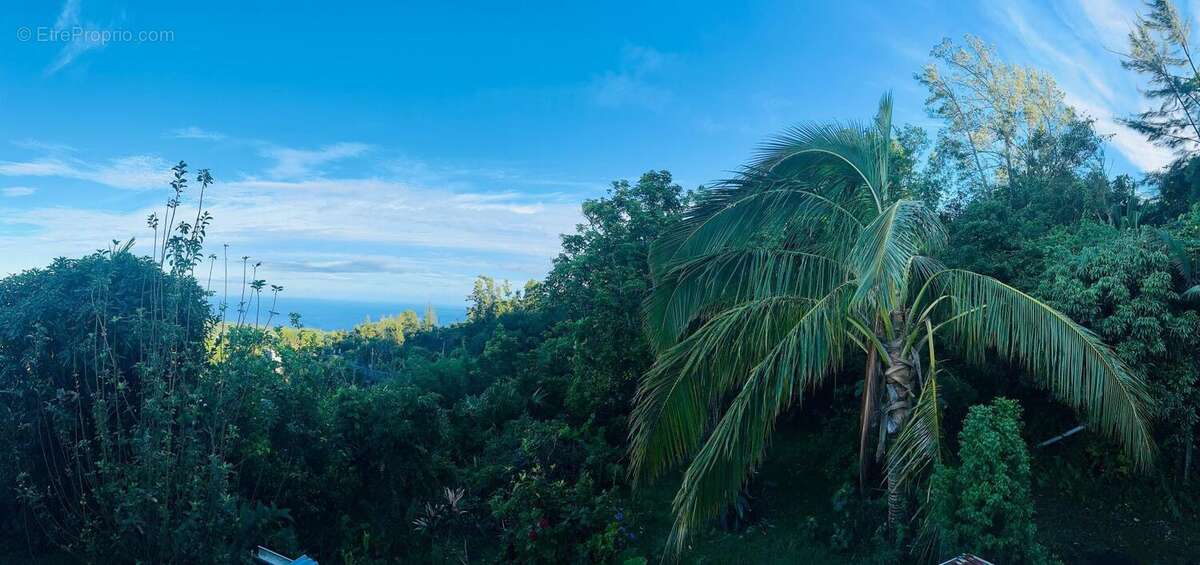 Photo 4 - Maison à SAINT-DENIS