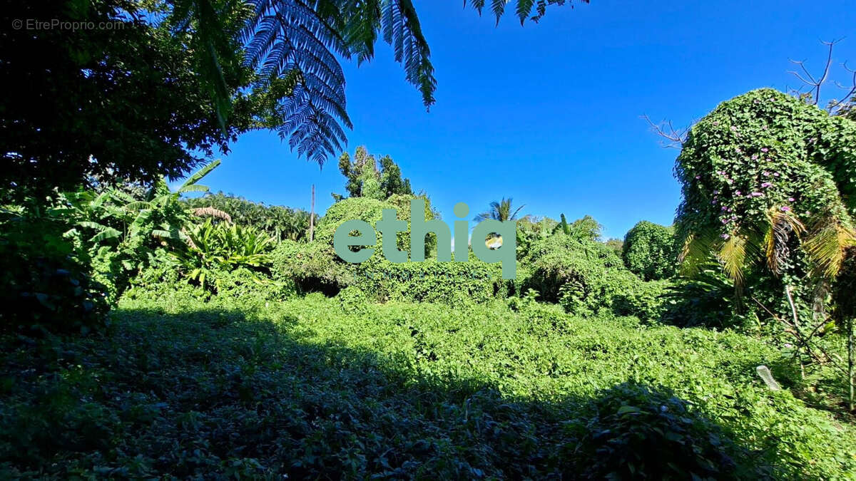 Terrain à CAPESTERRE-BELLE-EAU