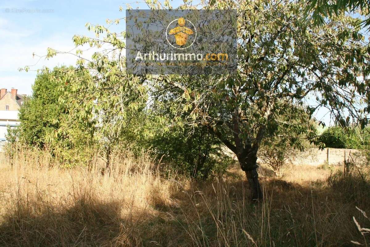 Vente Terrain Josselin(56120) 34 000ï¿œ - photo 4