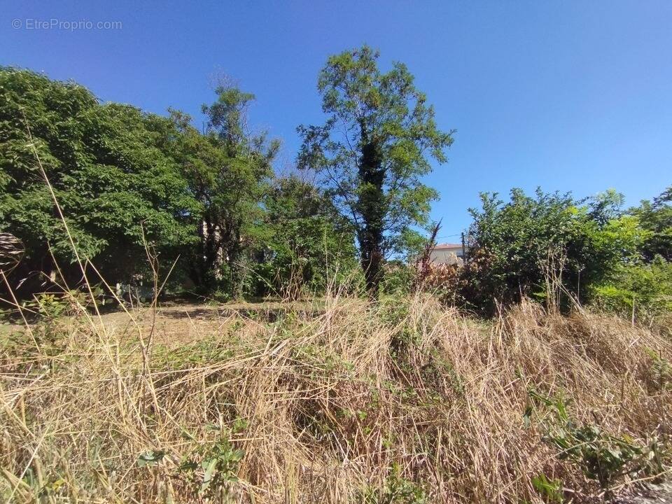 Terrain à BOURG-SAINT-ANDEOL
