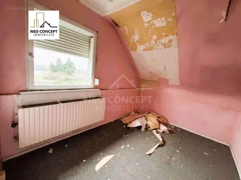 Maison à LA WANTZENAU