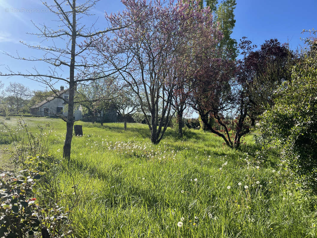 Maison à GERMIGNY-L&#039;EXEMPT